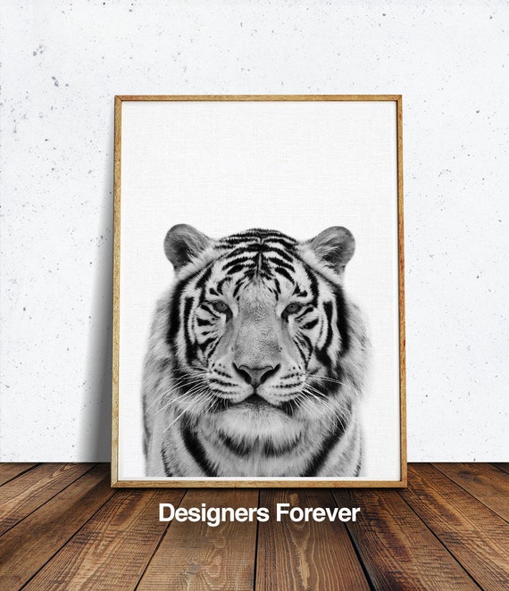 Tiger Print Nursery Animal Wall Art Safari Decor African Etsy