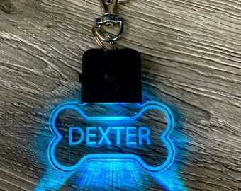 led dog tag