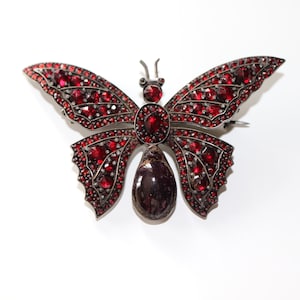 May include: A silver butterfly brooch with red gemstone accents. The butterfly has a large, dark red gemstone in the center of its body.