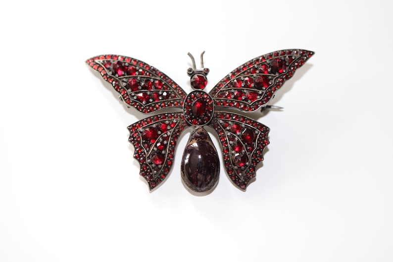 May include: A silver butterfly brooch with red gemstone accents. The butterfly has a large, dark red gemstone in the center of its body.