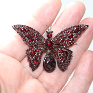 May include: A silver butterfly brooch with red garnet stones. The butterfly has a large, teardrop-shaped garnet in the center.