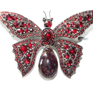 May include: A silver butterfly brooch with red gemstone accents. The brooch features a large, teardrop-shaped gemstone in the center.