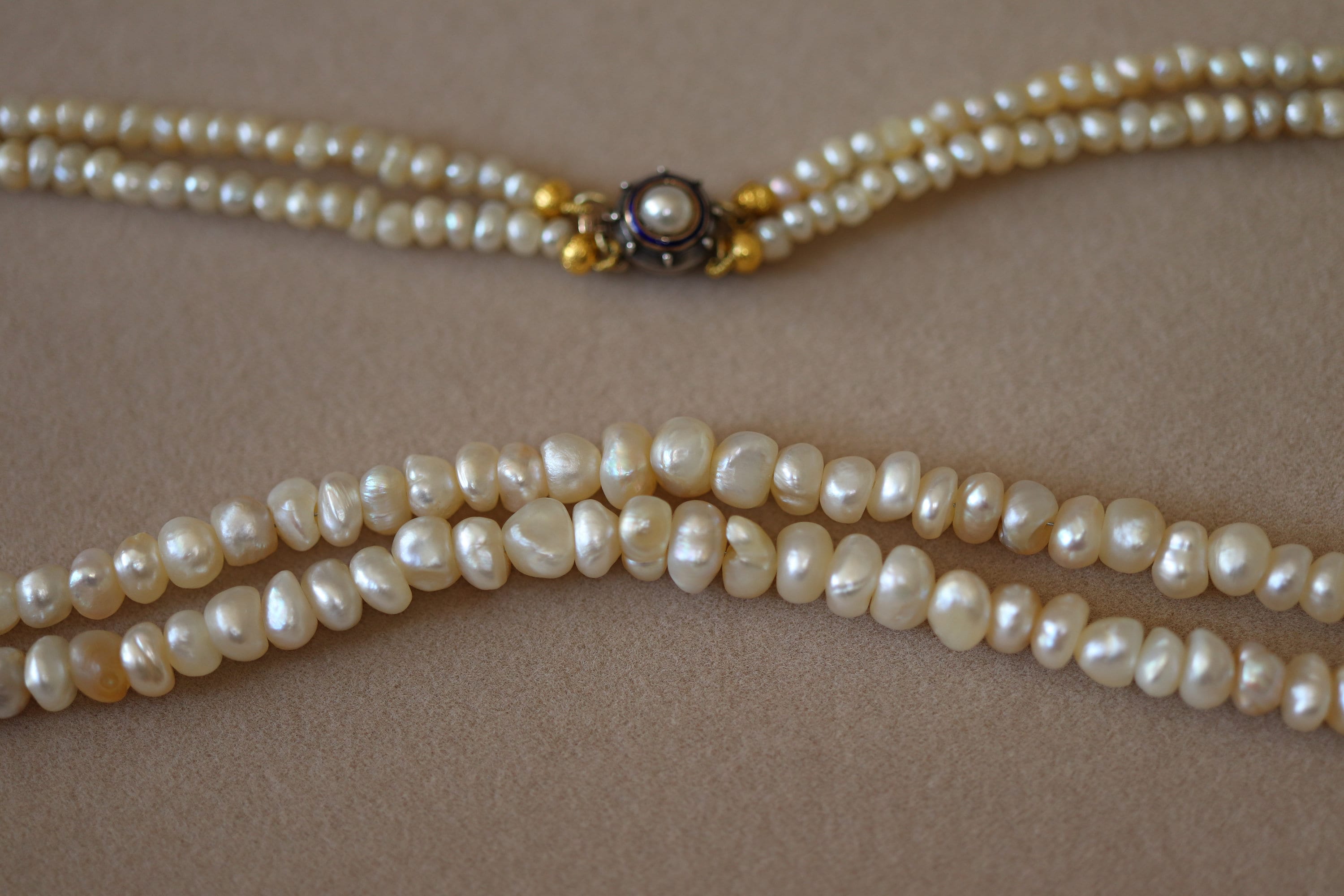 Persian 2024 gulf pearls