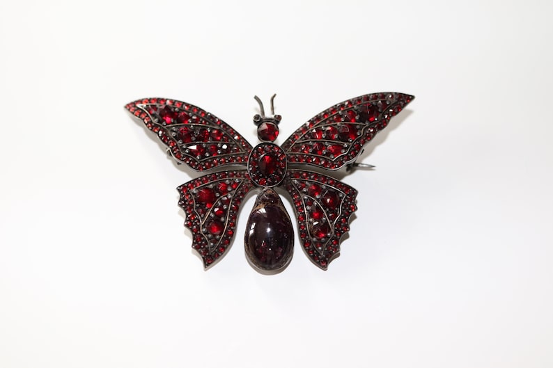 May include: A silver butterfly brooch with red garnet stones. The butterfly has a large, teardrop-shaped garnet in the center.