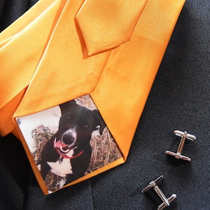 May include: A bright orange tie with a small photo of a black and white dog with a red collar inserted into the tie. The tie is on a dark gray suit jacket with silver cufflinks.