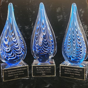 May include: Three teardrop-shaped glass awards with blue and white swirling patterns, each mounted on a clear rectangular base. The plaques are engraved with names, Excellence in Cardiology, Advent Health Sebring, and the year 2026.