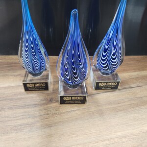 Elegant hand-blown glass teardrop award with mesmerizing blue and white swirl pattern on a clear base. Ideal for corporate recognition, appreciation gifts, or special achievement awards. Custom engraving options available. Perfect for employee awards, retirement gifts, or commemorative keepsakes. Unique artisan design adds sophistication to any occasion. Beautiful display piece for home or office.