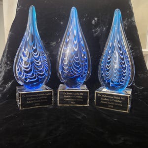 May include: Three teardrop-shaped glass awards featuring blue and white swirling patterns. Each award sits on a clear rectangular base with a black plaque engraved with the text: Dr. Muhammad Sohaib Asghar, Dr. Jordan Casola, MD, and Dr. Muhammad Majid, MD.
