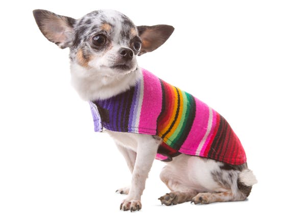 Dog Clothes - Pink Handmade Dog Apparel From Authentic Mexican Blanket. Premium Quality Dog Poncho by Baja Ponchos