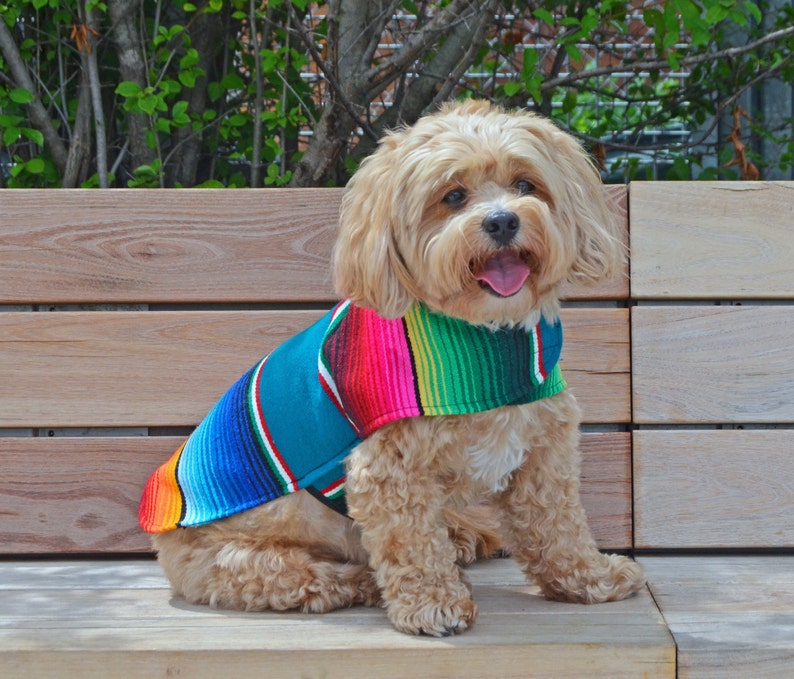 Dog Clothes Handmade Dog Apparel From Authentic Mexican Blanket. Premium Quality Dog Poncho by Baja Ponchos image 1