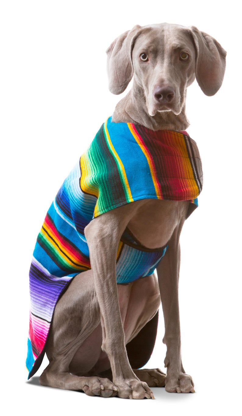 Dog Clothes Handmade Dog Apparel From Authentic Mexican Blanket. Premium Quality Dog Poncho by Baja Ponchos image 2