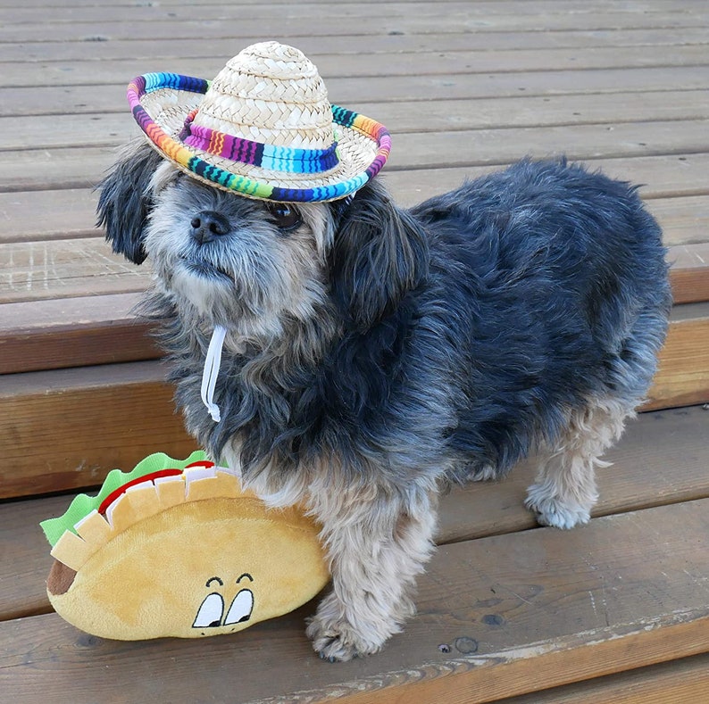 May include: A small, black and gray dog wearing a colorful sombrero hat and holding a plush taco toy.