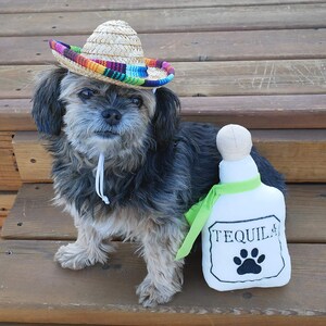 Op de afbeelding: Een kleine, zwart-grijze hond die een kleurrijke sombrero draagt en een witte pluche tequilafles met een pootprint.
