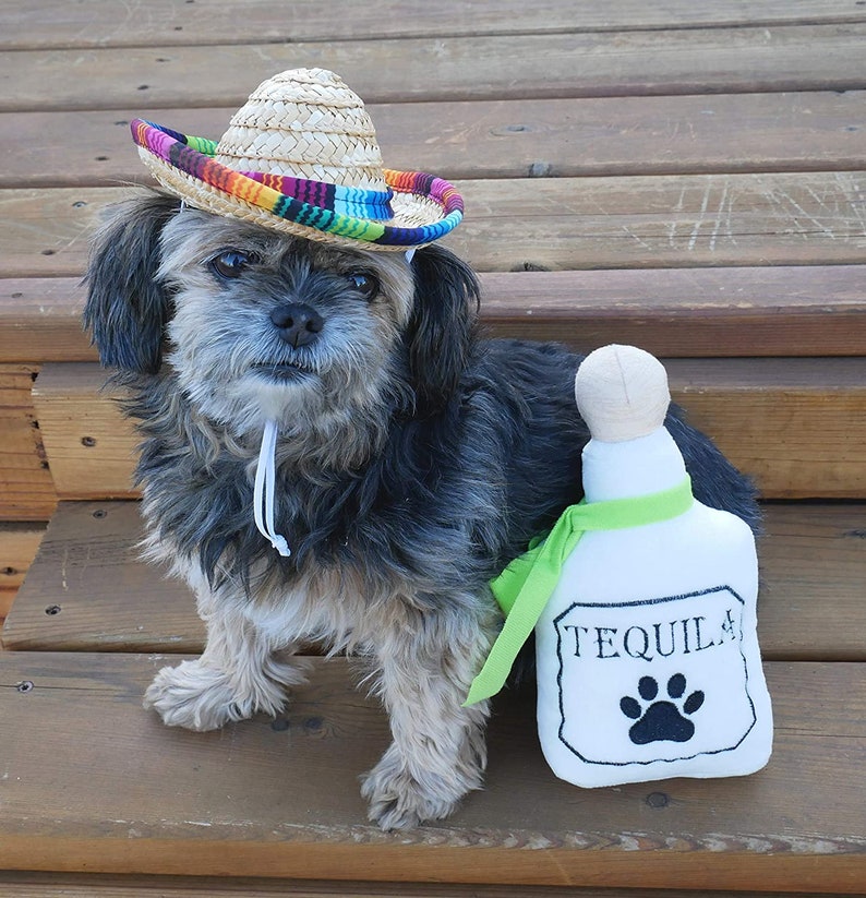 Op de afbeelding: Een kleine, zwart-grijze hond die een kleurrijke sombrero draagt en een witte pluche tequilafles met een pootprint.