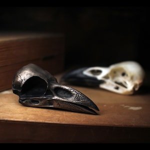 Puede incluir: Un cráneo de cuervo detallado, de color bronce, se exhibe sobre una superficie de madera, con otro cráneo en el fondo. El cráneo del primer plano tiene una superficie texturizada y un pico prominente. El cráneo del fondo es blanco y negro.