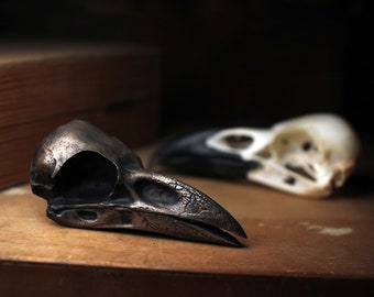 Raven skull cast in metal/resin - taxidermy - oddity - natural curiosity - corvid