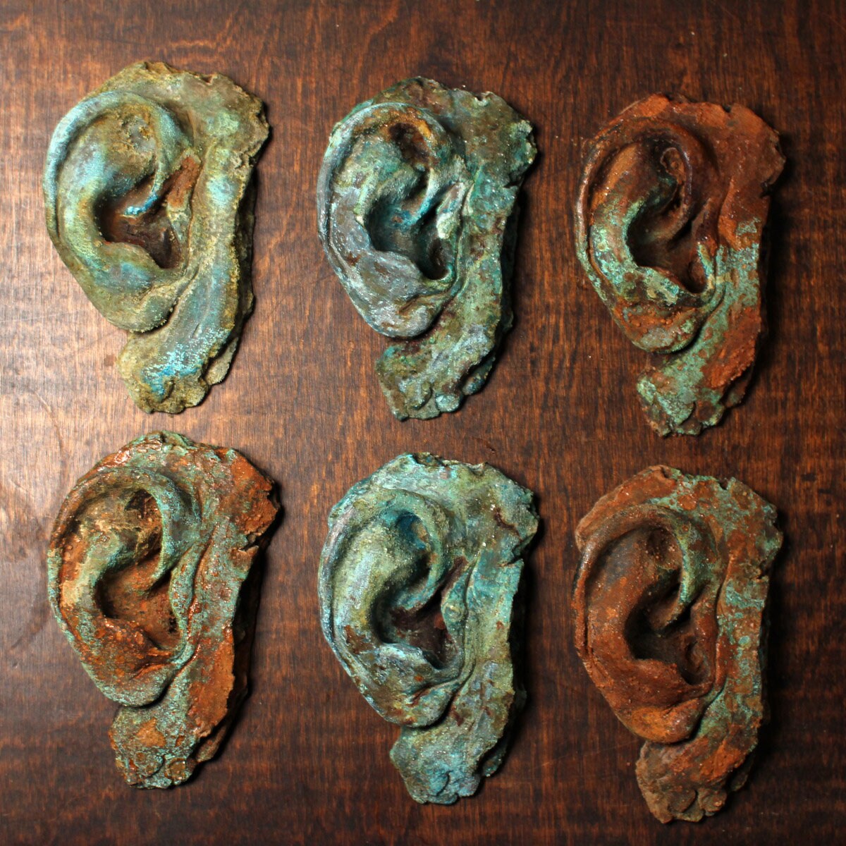 Aged corpse ear study - sculpture - oddity - curiosity
