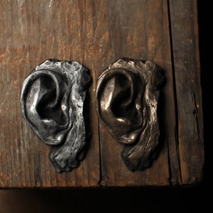 Corpse ear sculpture study. Bronze or aluminium metal powder cast.  Fine art - oddity - curiosity