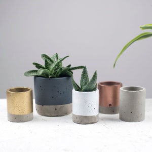 Concrete Colour block Plant pot - Concrete planter - Cactus Planter - Succulent Planter - Medium planter - Plant pots