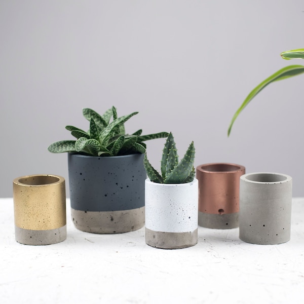 Concrete Colour block Plant pot - Concrete planter - Cactus Planter - Succulent Planter - Medium planter - Plant pots