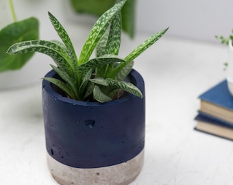 Concrete and Navy Blue Plant pot - Concrete planter - Cactus Planter - Succulent Planter  - Plant pots
