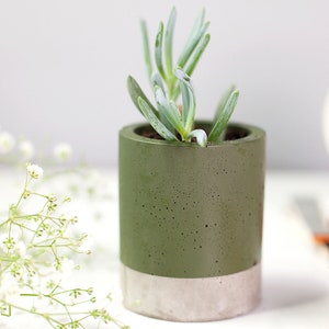 Concrete and Green Plant pot - Concrete planter - Cactus Planter - Succulent Planter  - Plant pots - Green Plant Pot