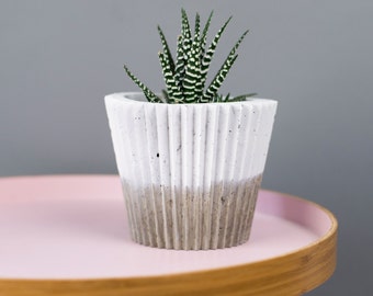 White plant pot - Monochrome Crinkle Concrete Planter - Planter - Plant Pot - Concrete Planter- Cactus Planter