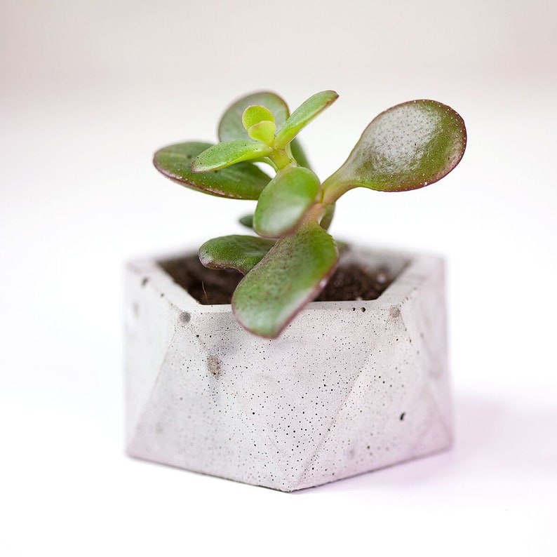 I Miss You Concrete Pot Plant Holder Concrete Pot Geo Etsy
