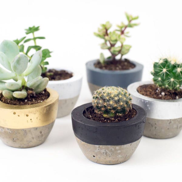 Small Concrete Planter