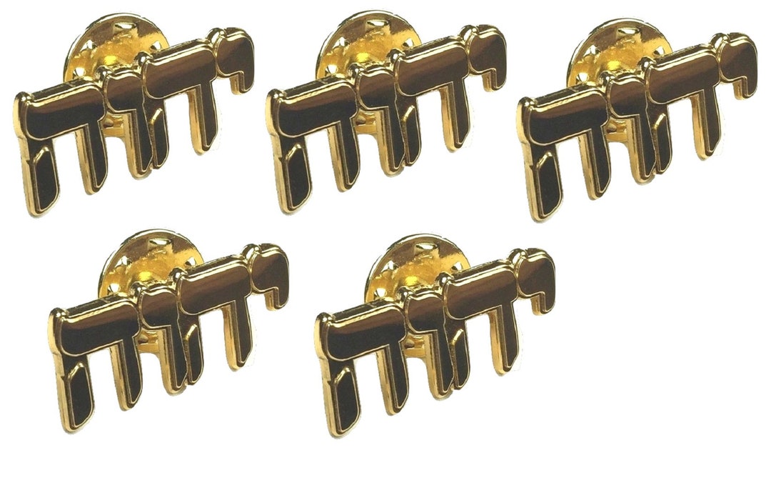 FicsowyFicsowy Enamel Lapel Pin Tetragrammaton Round Gold Jehovah Witness Symbol