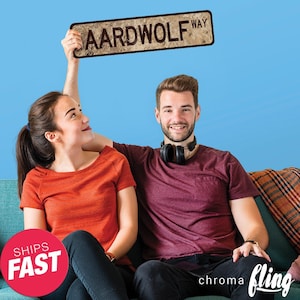 Aardwolf Way Gift Personalized Metal Street Sign - Custom Street Sign - Aardwolf - Personalize Street Sign - Custom Metal Sign - Customize