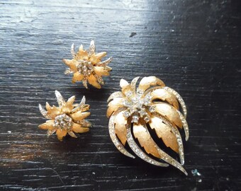 Set - earrings and pin