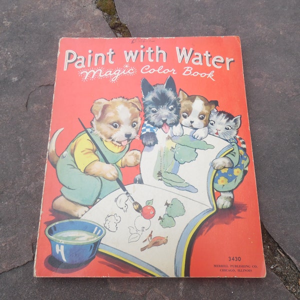 Paint with water book