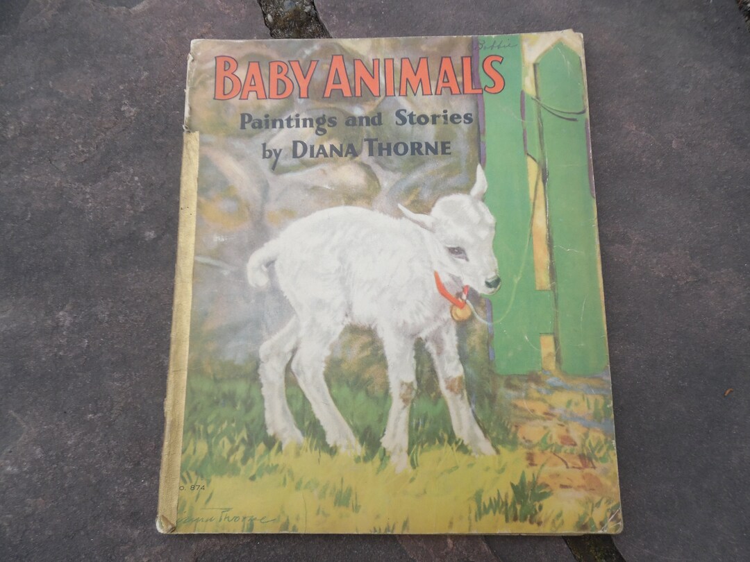 Large Children's Book Etsy