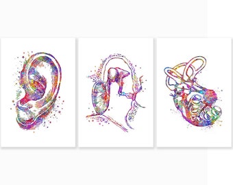 Ear Anatomy Watercolor Art Print - Set of 3 - Outer, Mid and Inner Ear Art - Audiology Art -Cochlea Poster Cochlea Prints Audiology Print