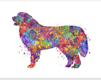 Impresión artística en acuarela de los Pirineos: Retrato de perro de montaña