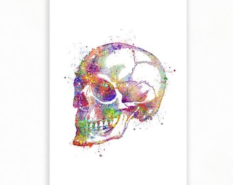 Skull Watercolor Art Print  - Skull Poster - Skull Anatomy Art - Dental Clinic Art - Skull Prints - Dentistry Gift - Medical Gift AS71