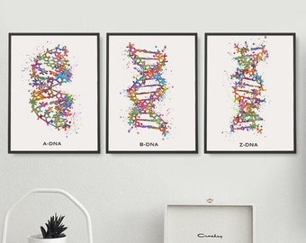 A-dna, B-dna, Z-dna Watercolor Art Print, Set of 3 Prints, DNA Molecule Art, Genetics Science Art, Genetic Microbiology Art AS1