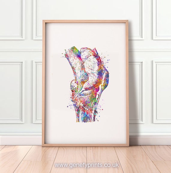 Knee Anatomy Watercolour Print Knee Anatomy Poster | Etsy