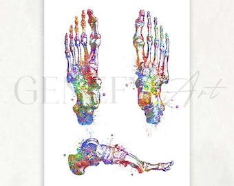 Foot Bones Watercolor Art Print - Osteology Prints - Osteology Watercolor Art - Skeletal Foot Bones Art - Orthopedic Gift Medical Gift AS32