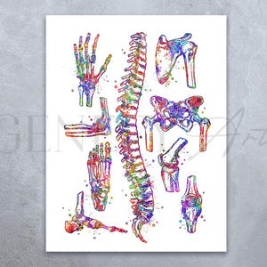 Human Bones Watercolor Art Print: Osteology Anatomy Decor