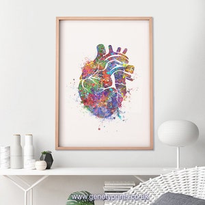 Heart Anatomy Watercolor Art Print Heart Anatomy Watercolor Art Painting Cardiology Art Anatomy Art Gift for Cardiologists AS37 image 2