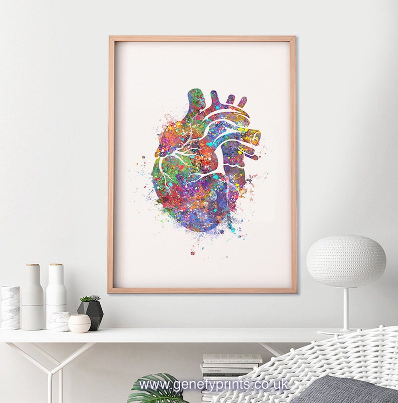Heart Anatomy Watercolor Art Print Heart Anatomy Watercolor Art Painting Cardiology Art Anatomy Art Gift for Cardiologists AS37 image 2