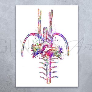 Heart Blood Vessels Watercolour Art Print - Cardiology Art - Heart Anatomy Prints - Cardiology Prints - Anatomy Art - Medical Art