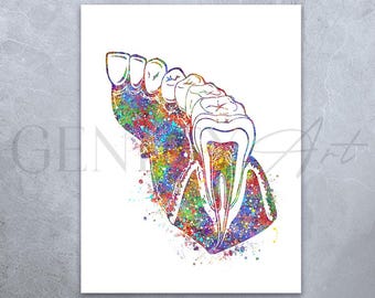 May include: A watercolor painting of a human tooth with roots, surrounded by other teeth. The painting is done in a rainbow of colors, with a white background.