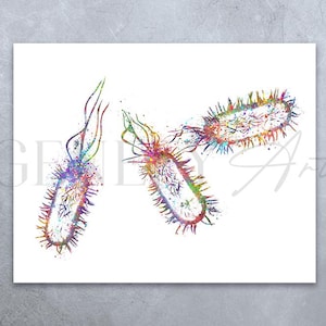 Listeria Monocytogenes Watercolour Art Print, Listeria Poster, Listeria Art, Bacteriophage Decor, Biology Molecular Art AS47