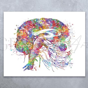 Brain Cranial Nerves Watercolour Print - Neurology Medical Art - Brain Anatomy Art - Brain Anatomy Prints - Gift for Neurologist AS93