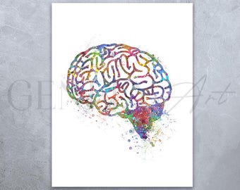 Brain Anatomy Watercolor Art Print: Science Poster