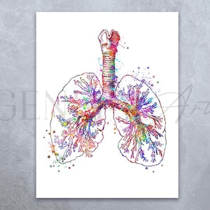 Lungs Anatomy Watercolour Art Print: Bronchial Tree Poster