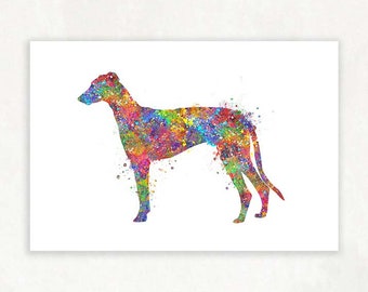 Greyhound Watercolour Art Print - Greyhound Prints - Greyhound Poster - Greyhound Portrait - Greyhound Gift Ideas - Housewarming Gift